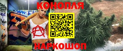 спиды Будённовск
