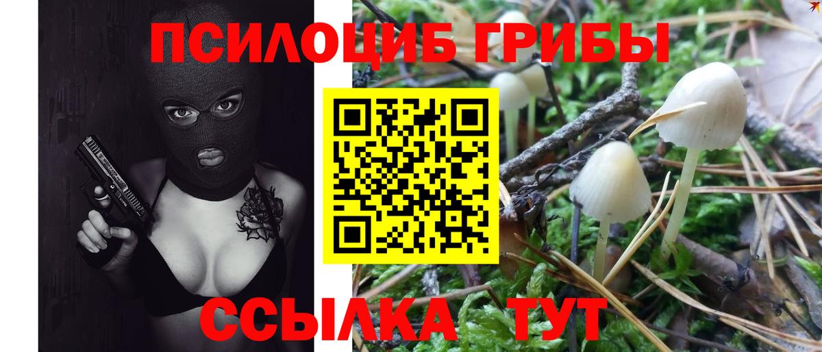 Галлюциногенные грибы Psilocybine cubensis Первоуральск